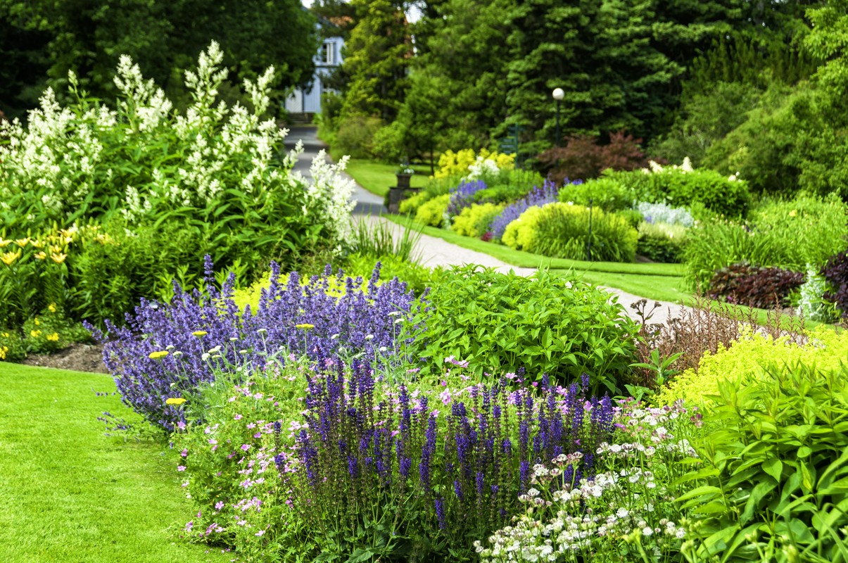 Palmy mrozoodporne – idealne miejsce w ogrodzie