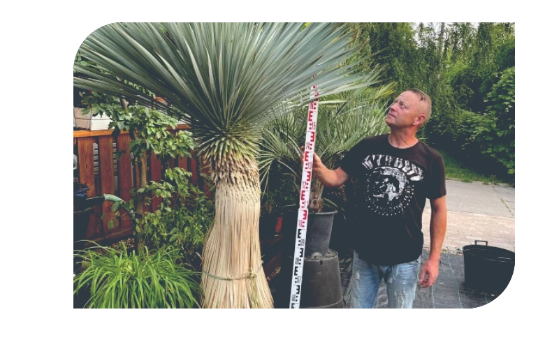 mężczyzna stojący przy palmie